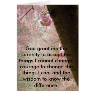 Cartão Flores Rosa E Serenidade Versos