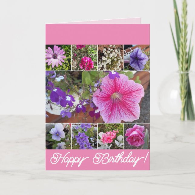 Cartão Flores Rosa Rosa Floral Petunia Daisy Birthday (Frente)
