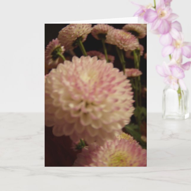 Cartão Flores Rosa Zinnia (Orquídea)