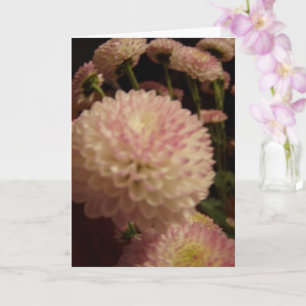 Cartão Flores Rosa Zinnia