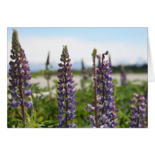 Cartão flores roxas