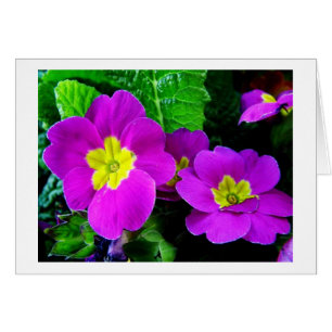 Cartão Flores roxas bonito