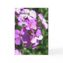 Flores Roxas Pensando em Você
