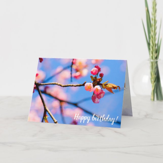 Cartão Flores Sakura Recém-Nascidas E O Céu Azul Da Prima (Frente)