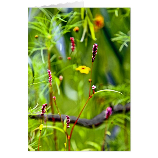 Cartão Flores selvagens (Frente)