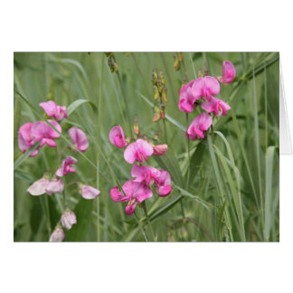 Cartão Flores selvagens