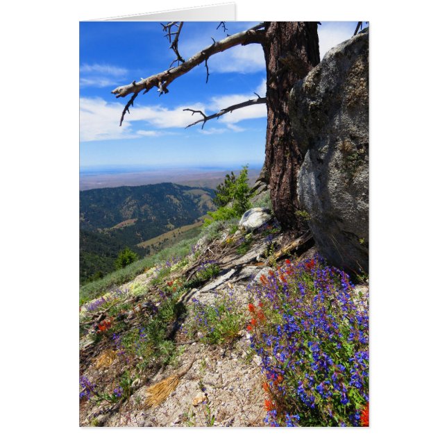 Cartão Flores Selvagens De Idaho (Frente)