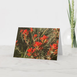 Cartão Flores Selvagens de Pinta Indiana (Vermelho)