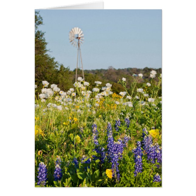 Cartão Flores Selvagens E Moinhos Do Texas Hill Country (Frente)