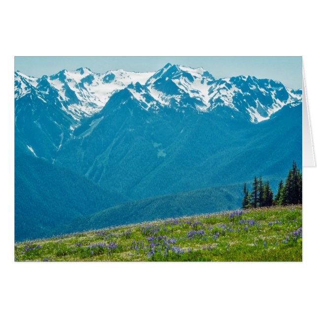 Cartão Flores selvagens e montanhas (Frente horizontal)