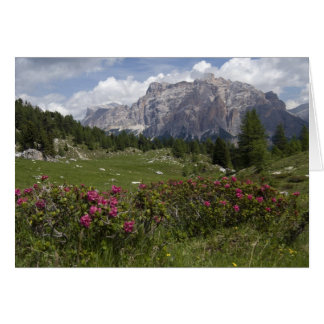 Cartão Flores selvagens e montanhas Dolomite, Itália