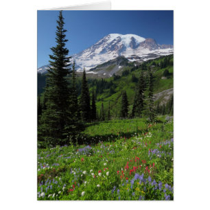 Cartão Flores selvagens no Monte Rainier