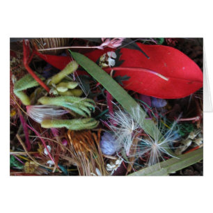 Cartão Flores silvestres australianas