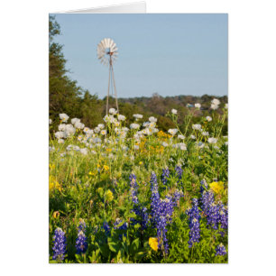Cartão Flores Silvestres e Moinho de Vento no Texas Hill