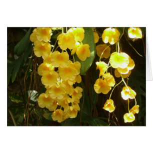 Cartão Flores Tropicais das Orquídeas Amarelas