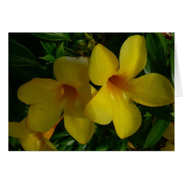 Cartão Flores tropicais II ouros (Frente Horizontal)