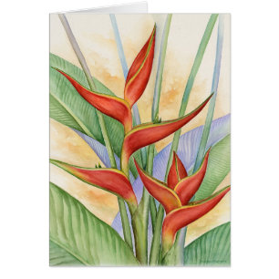 Cartão Flores tropicais vermelhas de Heliconia que pintam