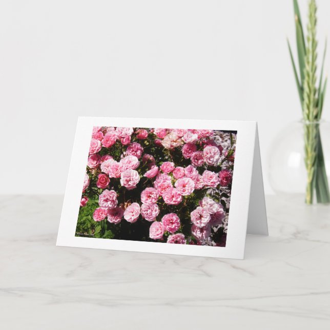 Cartão Flores Ver 1.0 (Frente)