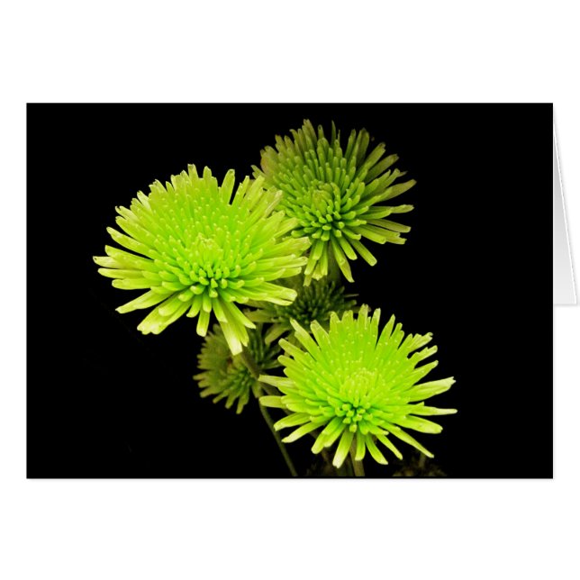 Cartão Flores Verdes (Frente Horizontal)