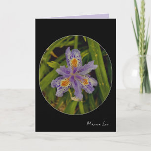 Cartão florescer em roxo