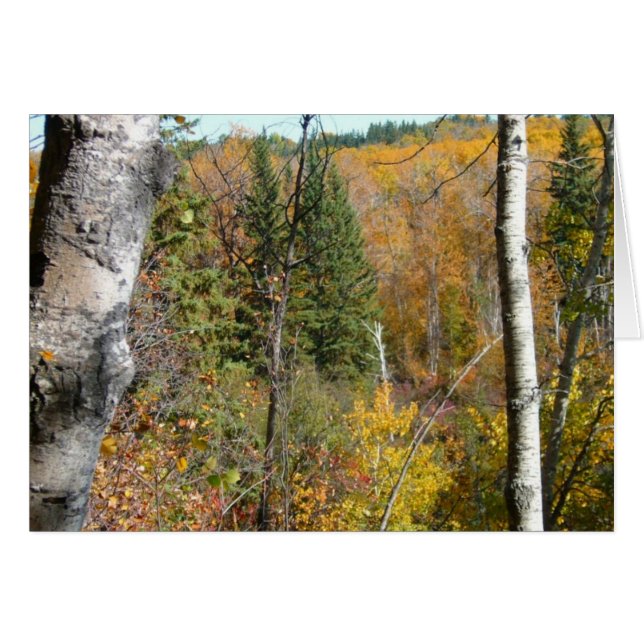 Cartão floresta (Frente Horizontal)