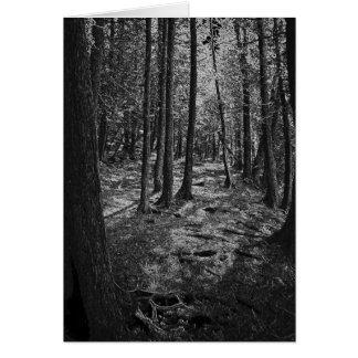 Cartão Floresta abstrato
