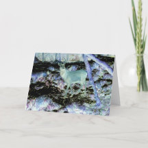 Floresta Assombrada de Red Deer Ambiente Mágico e 