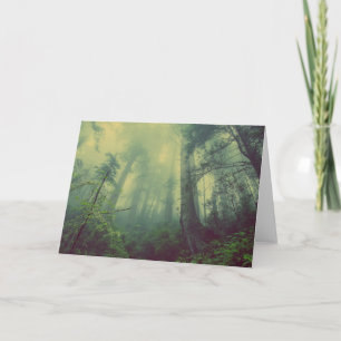Cartão Floresta De Baixo