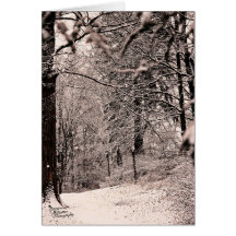 Floresta de inverno (5.0)