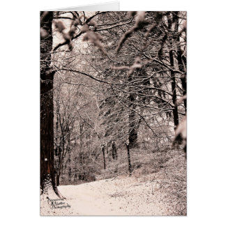 Cartão Floresta de inverno (5.0)