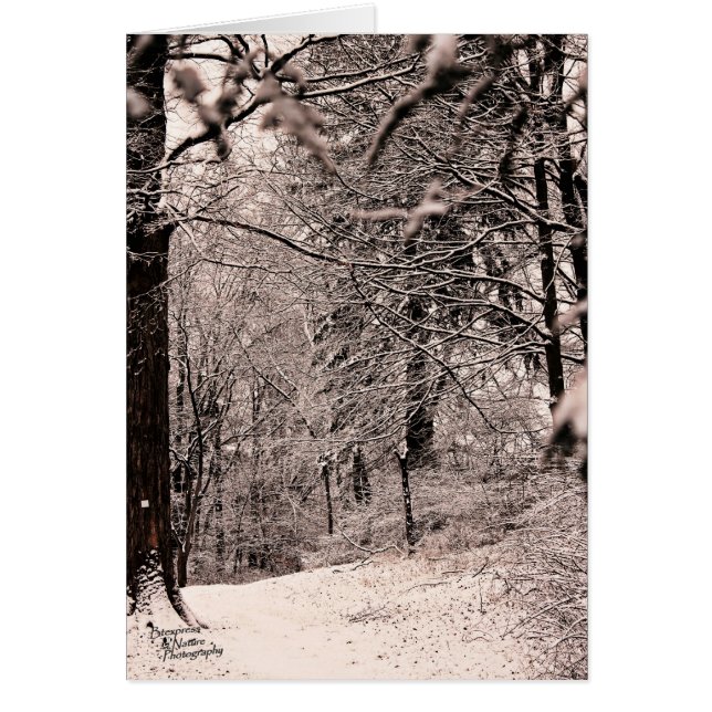 Cartão Floresta de inverno (5.0) (Frente)