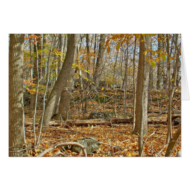 Cartão Floresta do outono (Frente Horizontal)