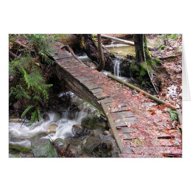 Cartão Floresta do outono (Frente Horizontal)