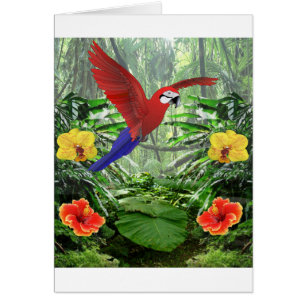 Cartão Floresta húmida tropical