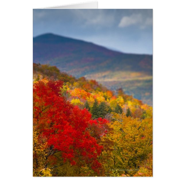 Cartão Floresta Nacional das Montanhas Brancas (Frente)
