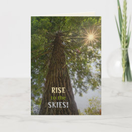 Cartão Floresta Pacífica Com Foto Da Natureza Com Luz Dou