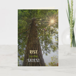 Cartão Floresta Pacífica Com Foto Da Natureza Com Luz Dou