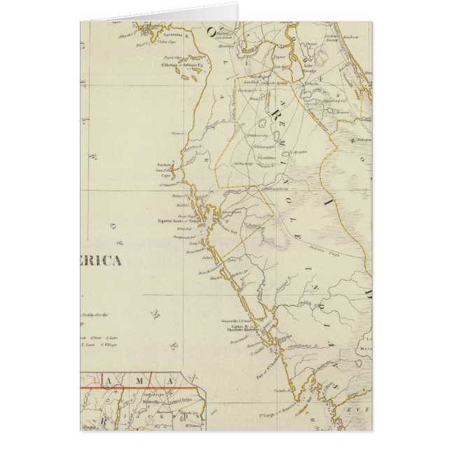 Cartão Flórida 12 (Frente)