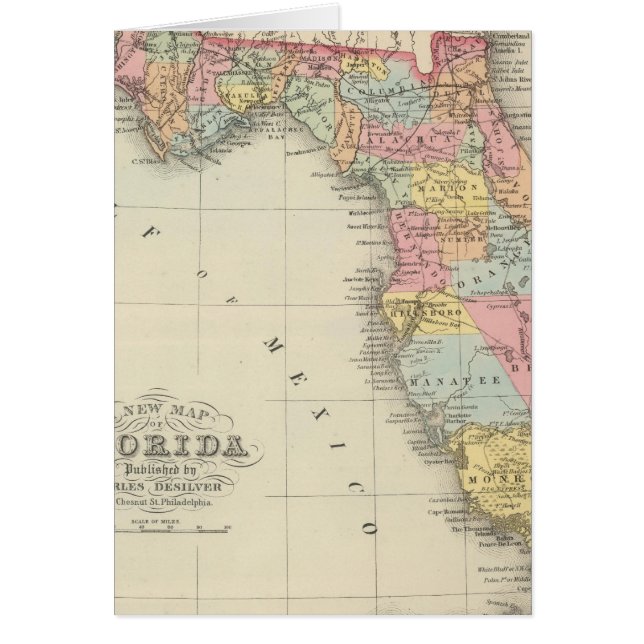 Cartão Flórida 13 (Frente)