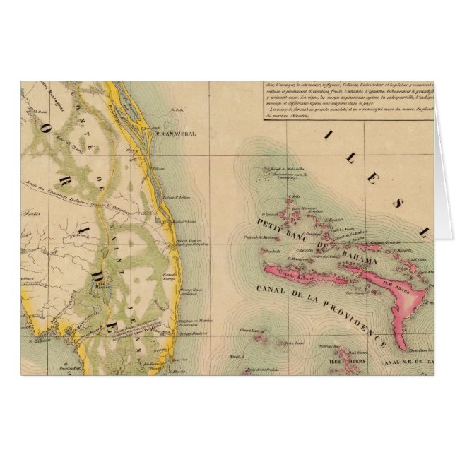 Cartão Flórida 62 (Frente Horizontal)