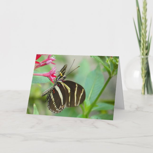 Cartão "Florida Butterfly on Red Pentas." Greeting Card (Frente)
