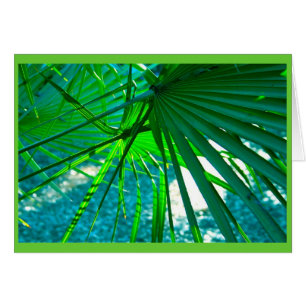 Cartão Flórida Palms