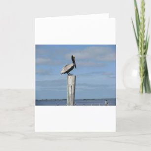 Cartão Florida Pelican on a Post at the Dock