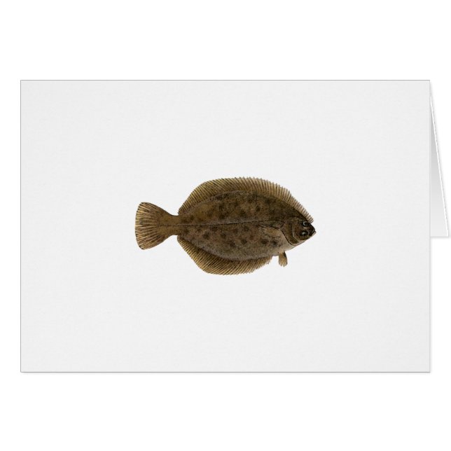 Cartão Flounder de inverno - Blackback (Frente Horizontal)