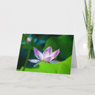 Cartão Flower #0417