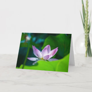 Cartão Flower #0417