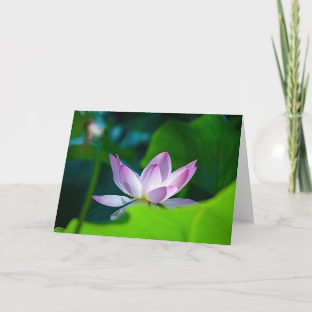 Cartão Flower #0417 (Frente)