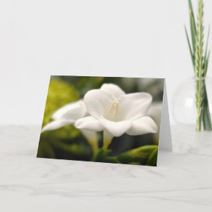 Cartão Flower (#1)