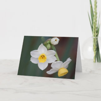 Cartão Flower #1579