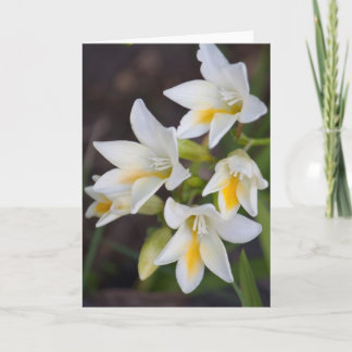 Cartão Flower #1668